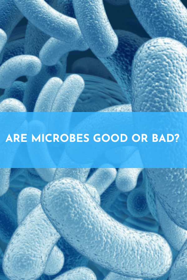 Are microbes good or bad