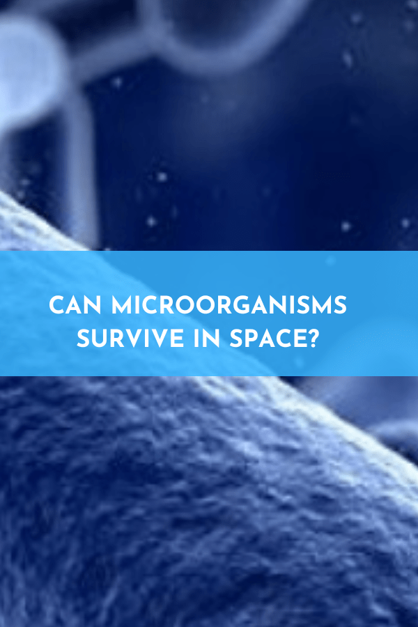 Can microorganisms survive in space?