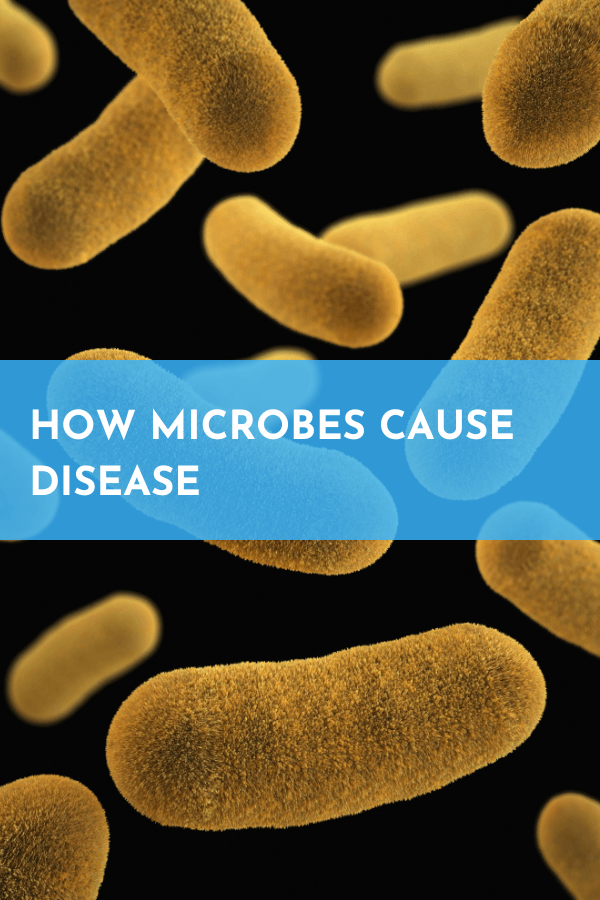 How microbes cause disease