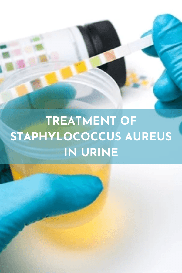 TRREATMENT OF STAPHYLOCOCCUS AUREUS IN URINE