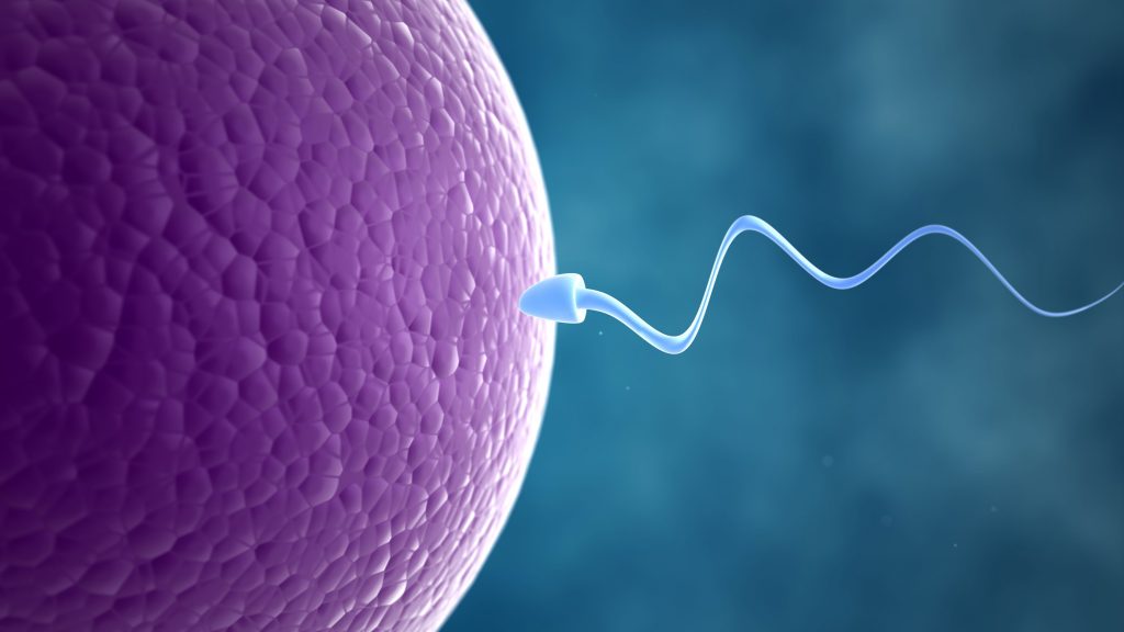 Can Escherichia coli cause infertility?