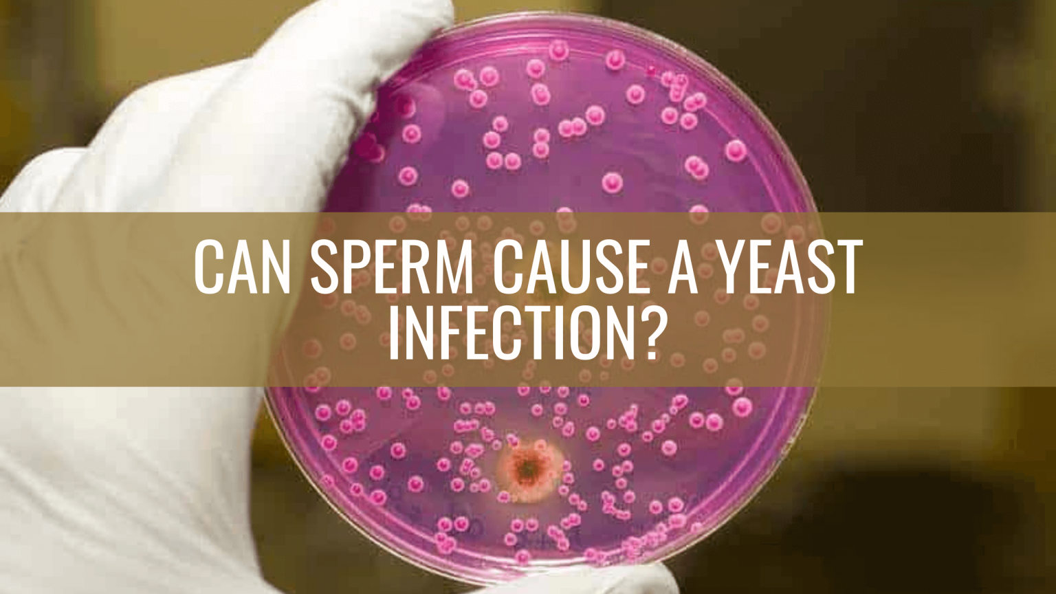 can-sperm-cause-a-yeast-infection-the-hidden-connection